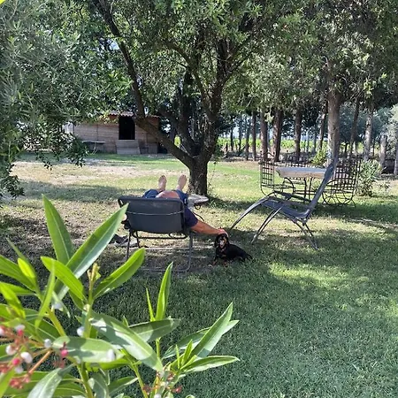 Gîtes La petite Violette Violès Extérieur photo