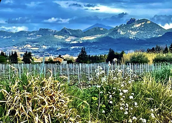 Gîtes La petite Violette